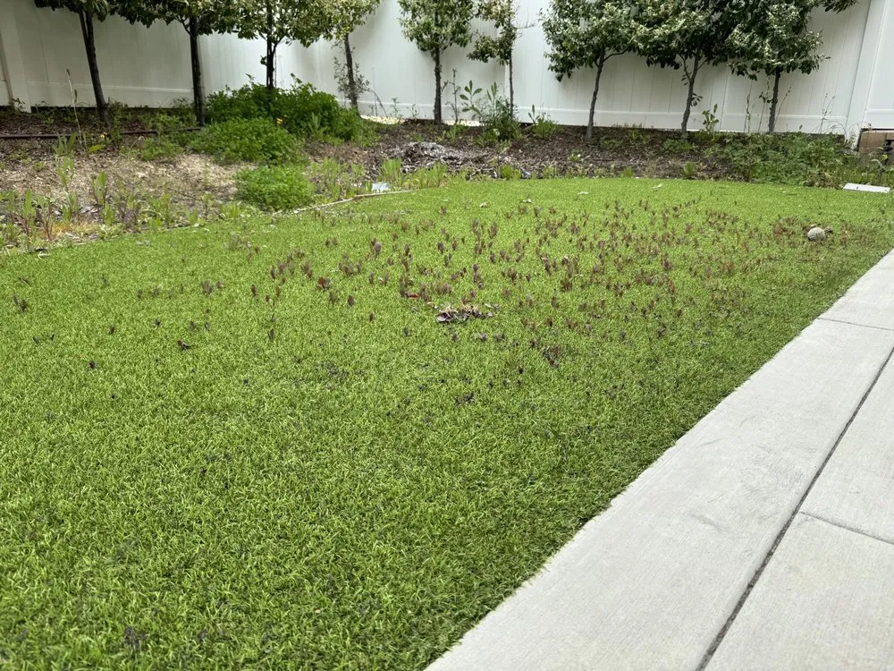 Reliable yard maintenance in Glendale, CA by A To Z Landscaping