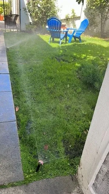 Trusted garden landscaping experts serving Glendale, CA - A To Z Landscaping