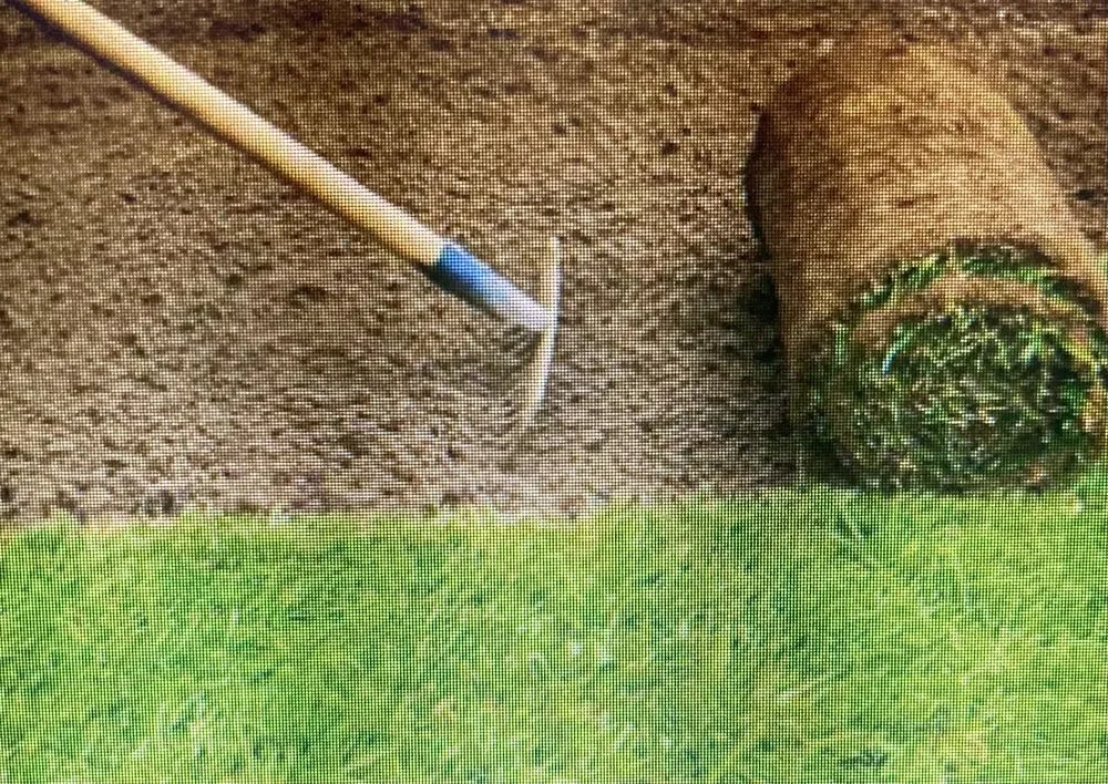 Professional yard maintenance in Spring, TX - A TO Z LANDSCAPING