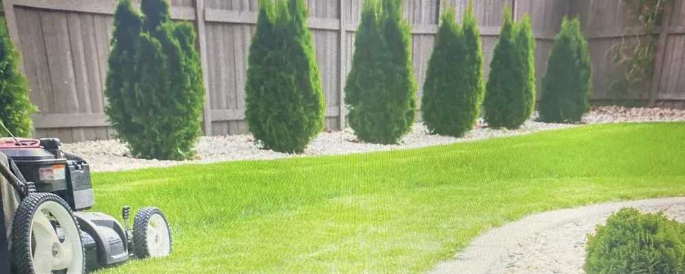 Affordable residential landscaping experts serving Spring, TX - A TO Z LANDSCAPING