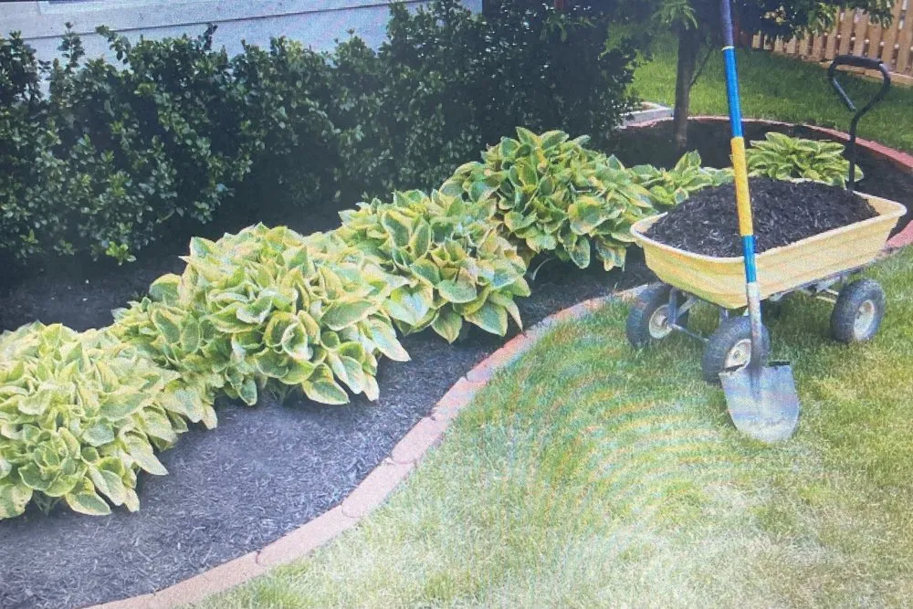 Reliable lawn mowing service in Spring, TX - A TO Z LANDSCAPING