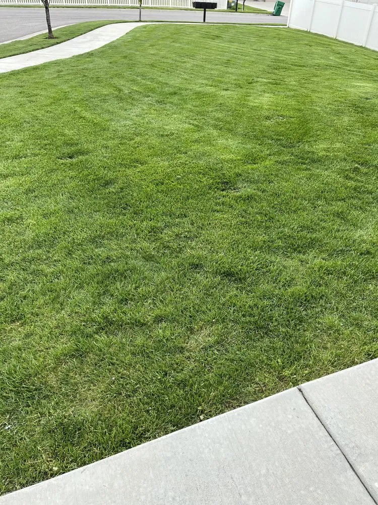 Top-rated landscape design in West Jordan, UT - A To Z Landscaping