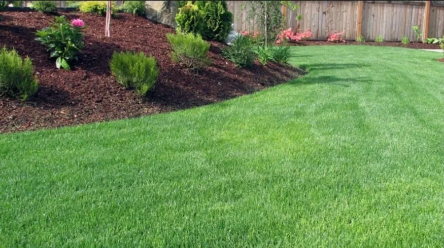 Expert landscape design for homes in Zebulon, NC by A to Z Lawn & Landscaping
