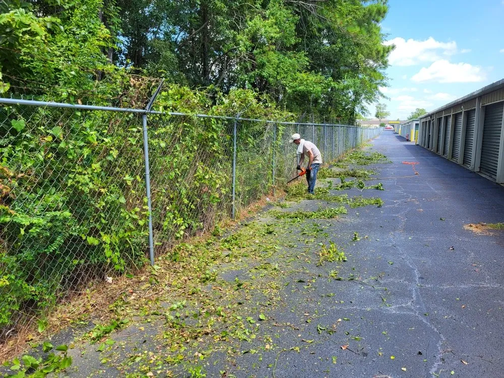 Reliable lawn mowing service for beautiful yards in D'Iberville, MS by A To Z Lawn Care Services