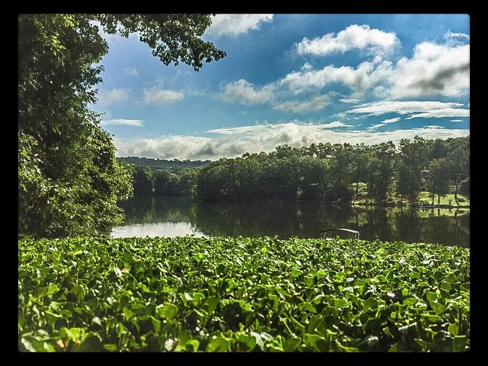 Local residential landscaping with custom design across Brookfield, CT - A to Z Property Maintenance