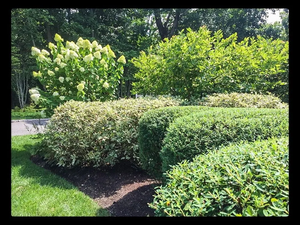 Professional yard cleanup service with custom design across Brookfield, CT - A to Z Property Maintenance