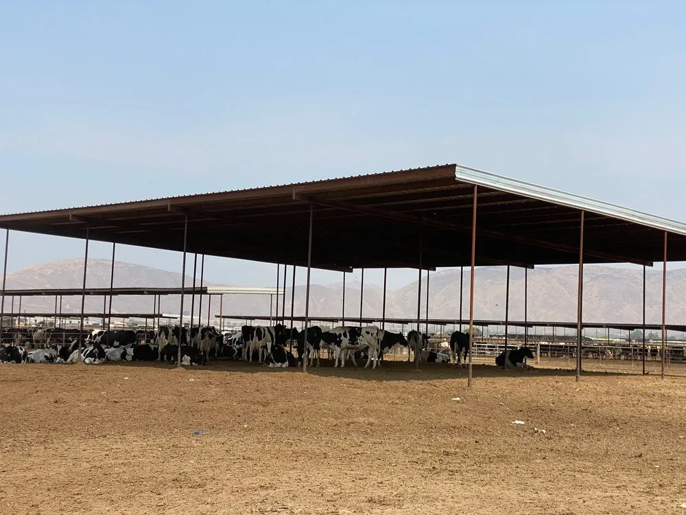 Top-rated lawn care service for year-round maintenance in Riverside, CA by A to Z Repair Solutions