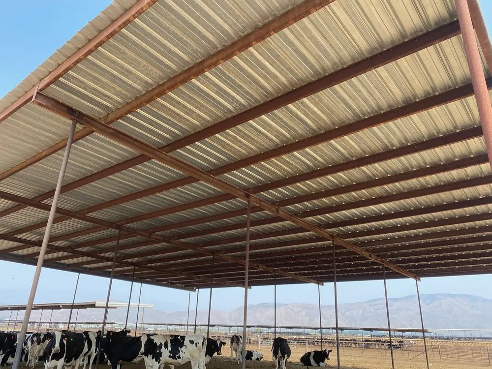 Professional lawn care service in Riverside, CA - A to Z Repair Solutions