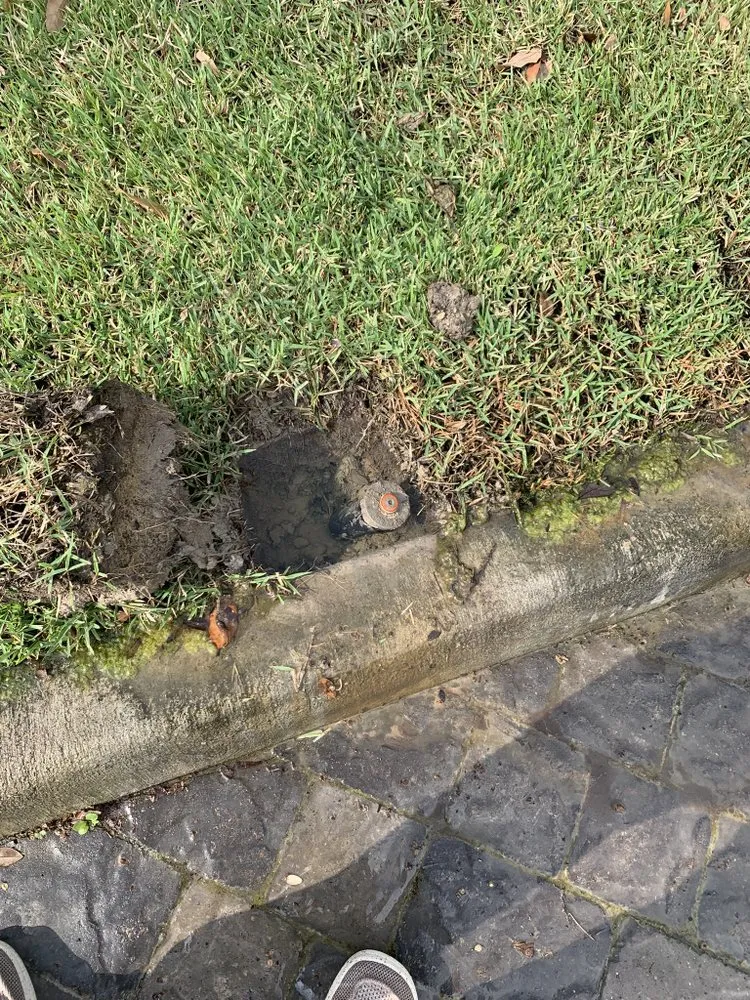 Expert residential landscaping in Livingston, TX by A to Z Services