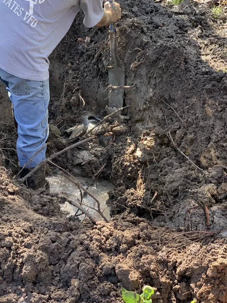 Affordable landscape installation in Livingston, TX - A to Z Services