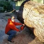 Professional landscaping services for year-round maintenance across Brooklyn Park, MN - A To Z Tree Care
