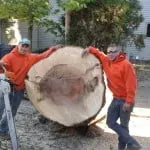 Reliable yard cleanup service in Brooklyn Park, MN by A To Z Tree Care