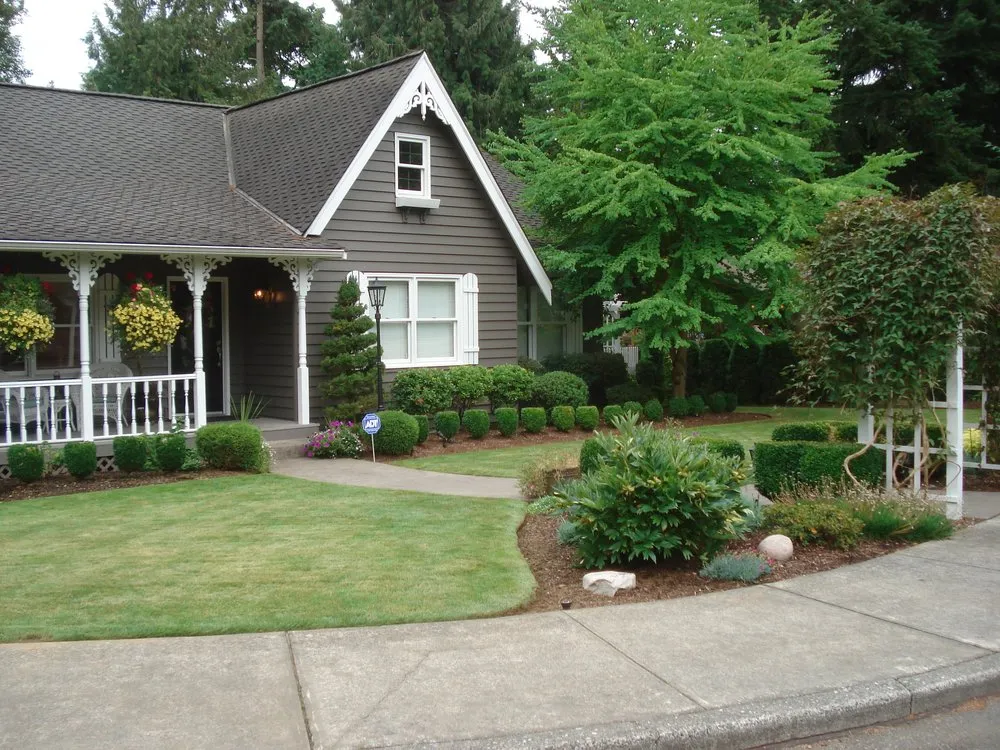 Trusted yard cleanup service in Bellingham, WA - A to Z Yard and Cleaning Service