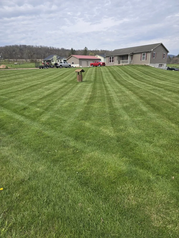 Professional yard cleanup service experts serving McAlisterville, PA - A to Z Yard Care