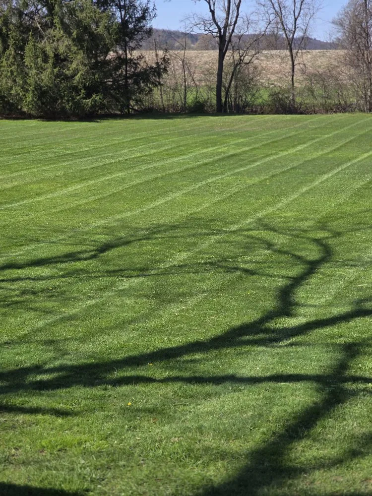 Custom yard cleanup service experts serving McAlisterville, PA - A to Z Yard Care