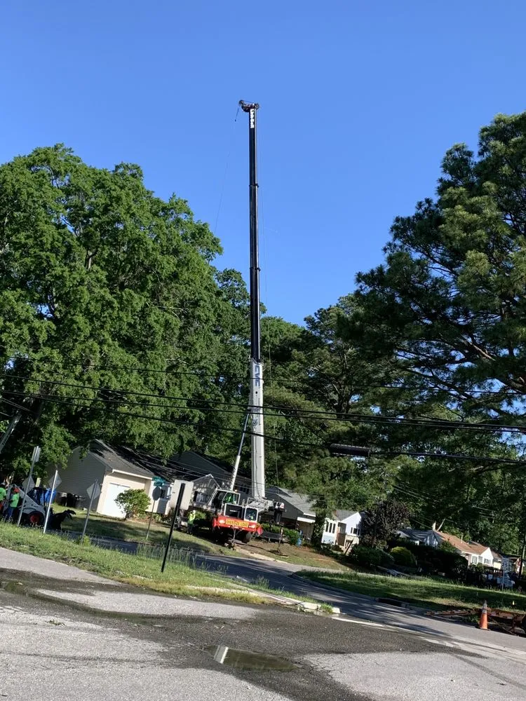 Expert lawn care service for residential properties in Norfolk, VA by A Top To Bottom Tree & Lawn