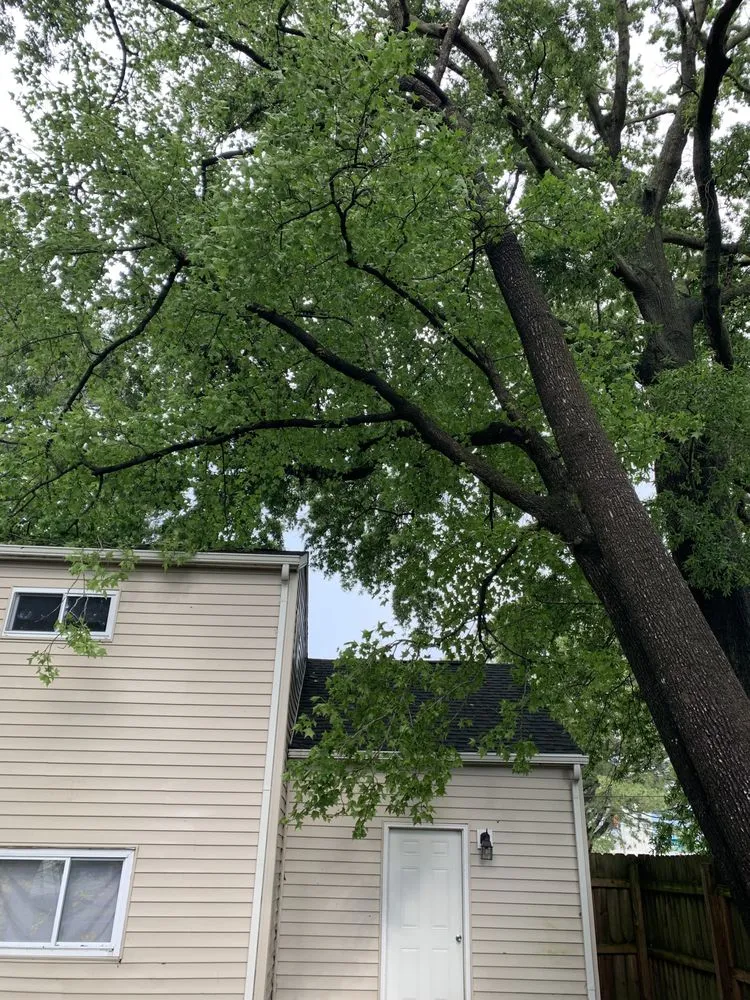 Reliable yard maintenance in Norfolk, VA by A Top To Bottom Tree & Lawn