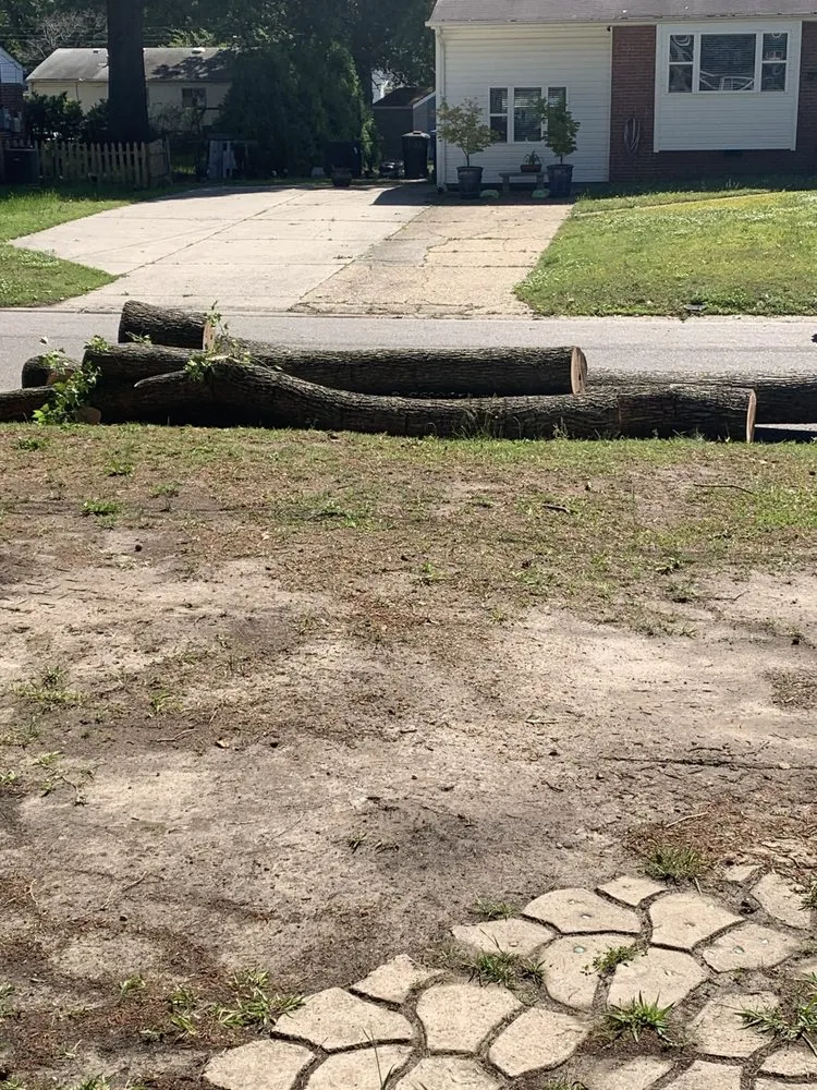 Custom landscaping services in Norfolk, VA - A Top To Bottom Tree & Lawn