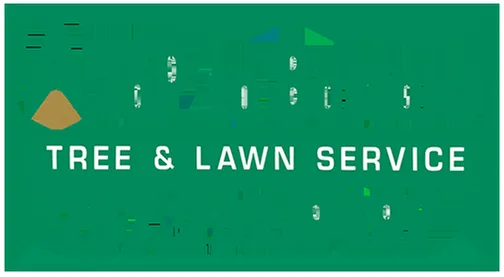 Reliable lawn care service experts serving Norfolk, VA - A Top To Bottom Tree & Lawn
