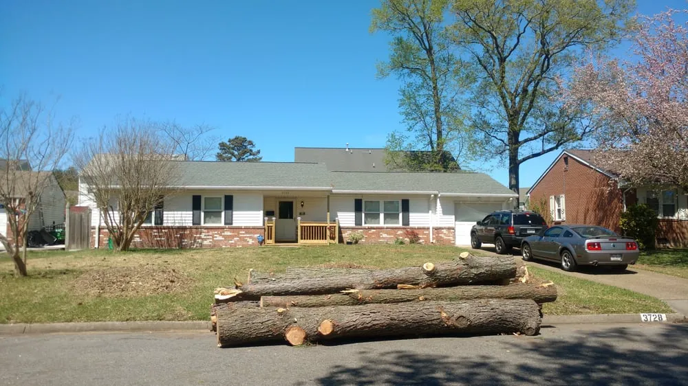 Reliable landscape installation in Norfolk, VA by A Top To Bottom Tree & Lawn