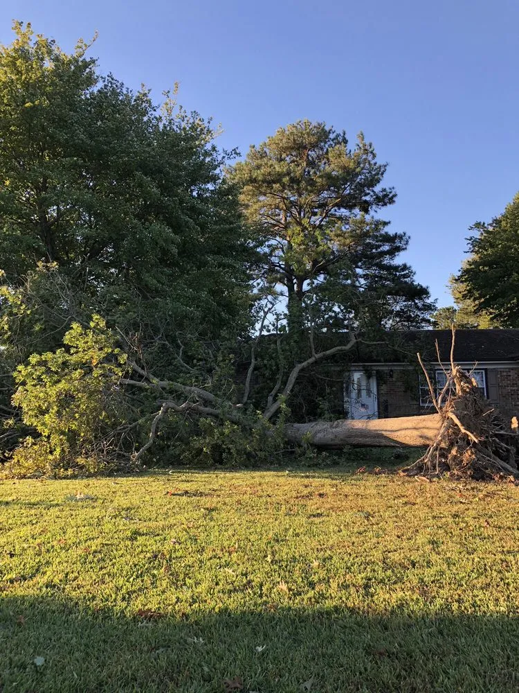 Affordable landscaping services for year-round maintenance in Norfolk, VA by A Top To Bottom Tree & Lawn