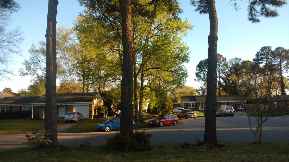 Affordable outdoor landscaping for residential properties in Norfolk, VA by A Top To Bottom Tree & Lawn