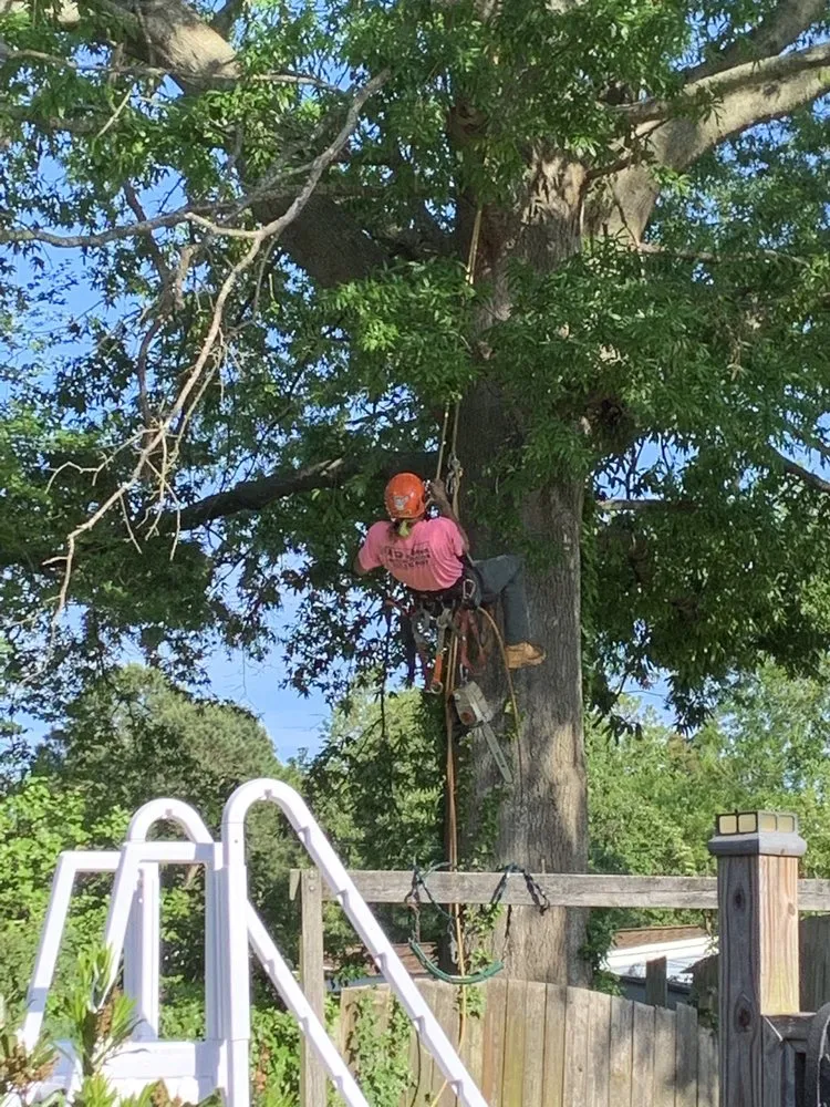 Trusted garden landscaping in Norfolk, VA - A Top To Bottom Tree & Lawn