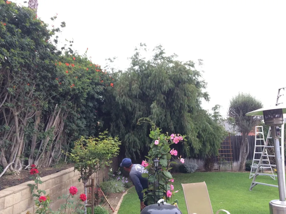 Trusted lawn mowing service for outdoor upgrades across Oxnard, CA - A Torres Landscape