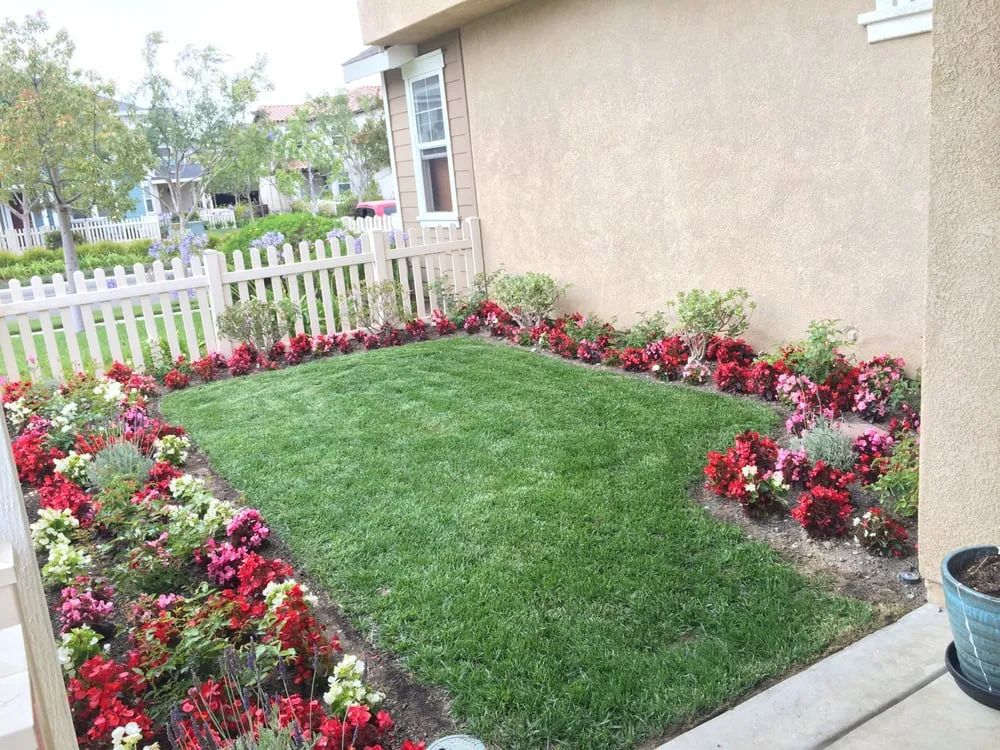 Trusted lawn care service for year-round maintenance across Oxnard, CA - A Torres Landscape