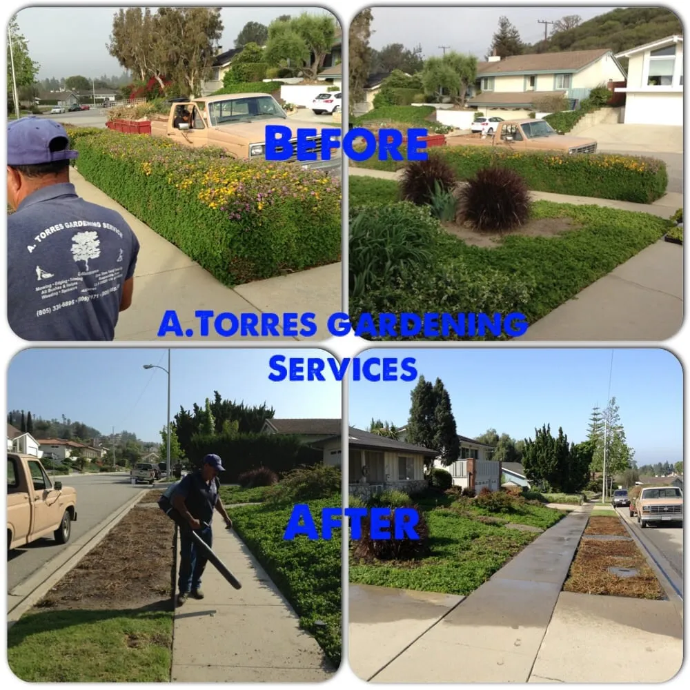 Reliable landscape design for year-round maintenance across Oxnard, CA - A Torres Landscape