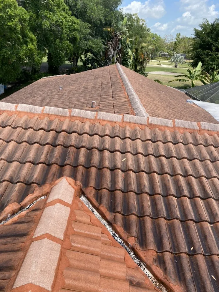 Top-rated landscaping services experts serving Bradenton, FL - A Touch By Santiago’s Care