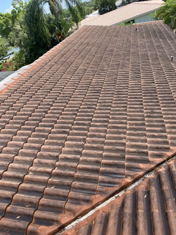 Expert landscape installation in Bradenton, FL - A Touch By Santiago’s Care