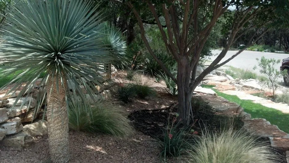 Trusted residential landscaping in Austin, TX - A Touch O' Green Landscapes
