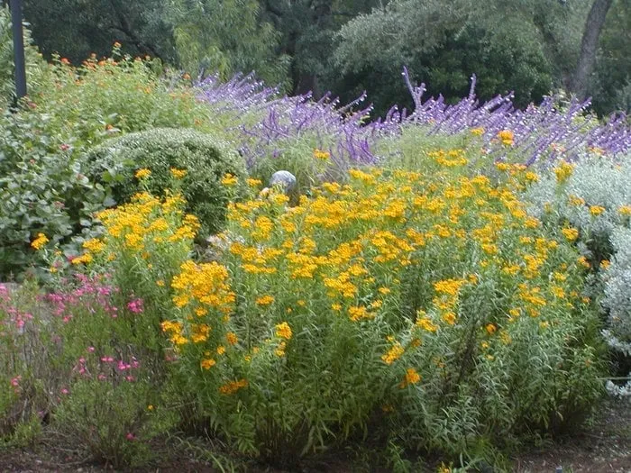 Expert lawn care service in Austin, TX - A Touch O' Green Landscapes