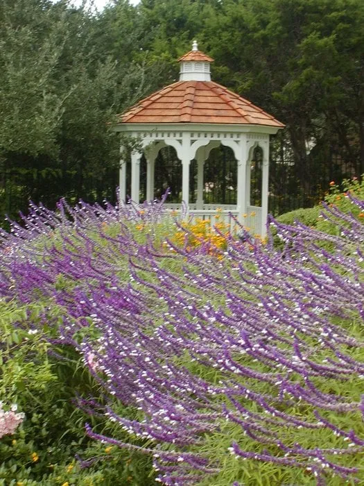 Trusted landscaping services for year-round maintenance across Austin, TX - A Touch O' Green Landscapes