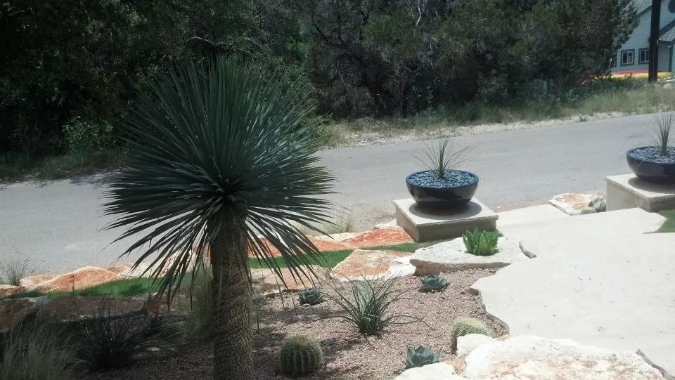 Custom lawn mowing service for residential properties across Austin, TX - A Touch O' Green Landscapes