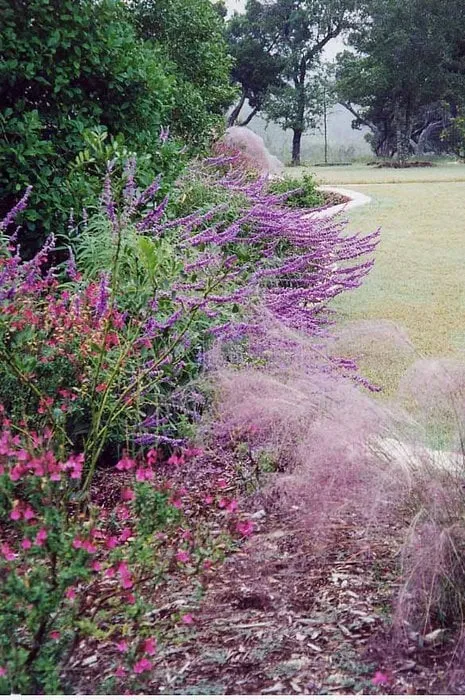 Expert yard maintenance near you in Austin, TX by A Touch O' Green Landscapes