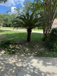 Trusted yard maintenance experts serving Pensacola, FL - A Touch Of A Finger