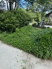 Professional yard cleanup service for year-round maintenance across Pensacola, FL - A Touch Of A Finger
