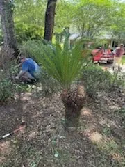 Reliable outdoor landscaping in Pensacola, FL - A Touch Of A Finger