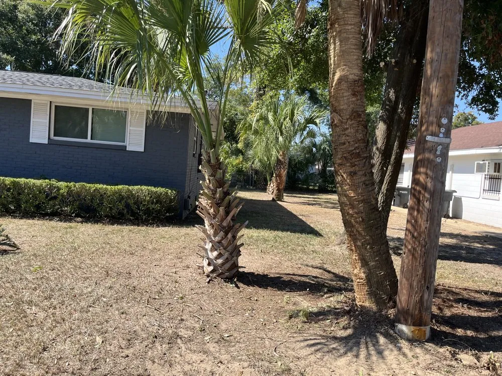 Professional yard cleanup service experts serving Pensacola, FL - A Touch Of A Finger