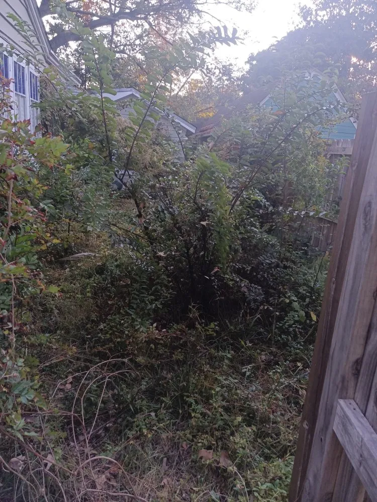 Professional outdoor landscaping in Sumter, SC by A Touch of Class Lawn Care