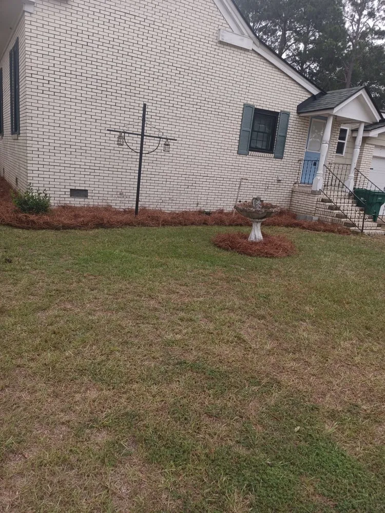 Professional yard cleanup service in Sumter, SC - A Touch of Class Lawn Care