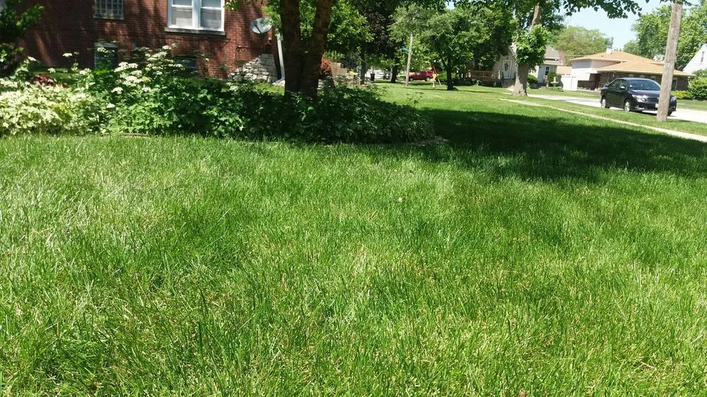 Professional lawn mowing service in Lansing, IL - A Touch of Green Grass Lawn Serv