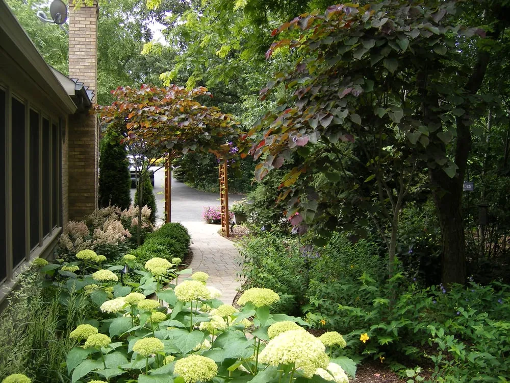 Reliable yard cleanup service for homes across Homer Glen, IL - A Touch of Green