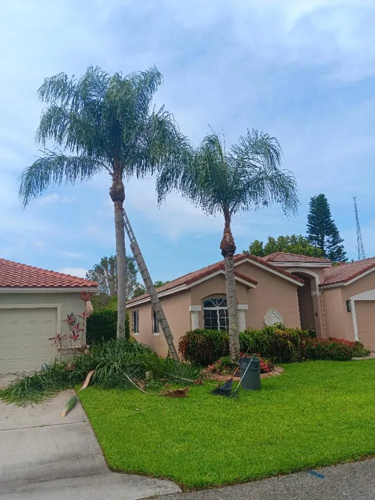 Local yard maintenance experts serving Port St. Lucie, FL - A Touch of Magic PM