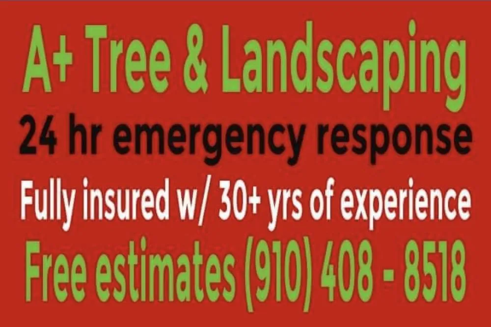 Custom landscape installation for beautiful yards in Supply, NC by A+ Tree & Landscaping