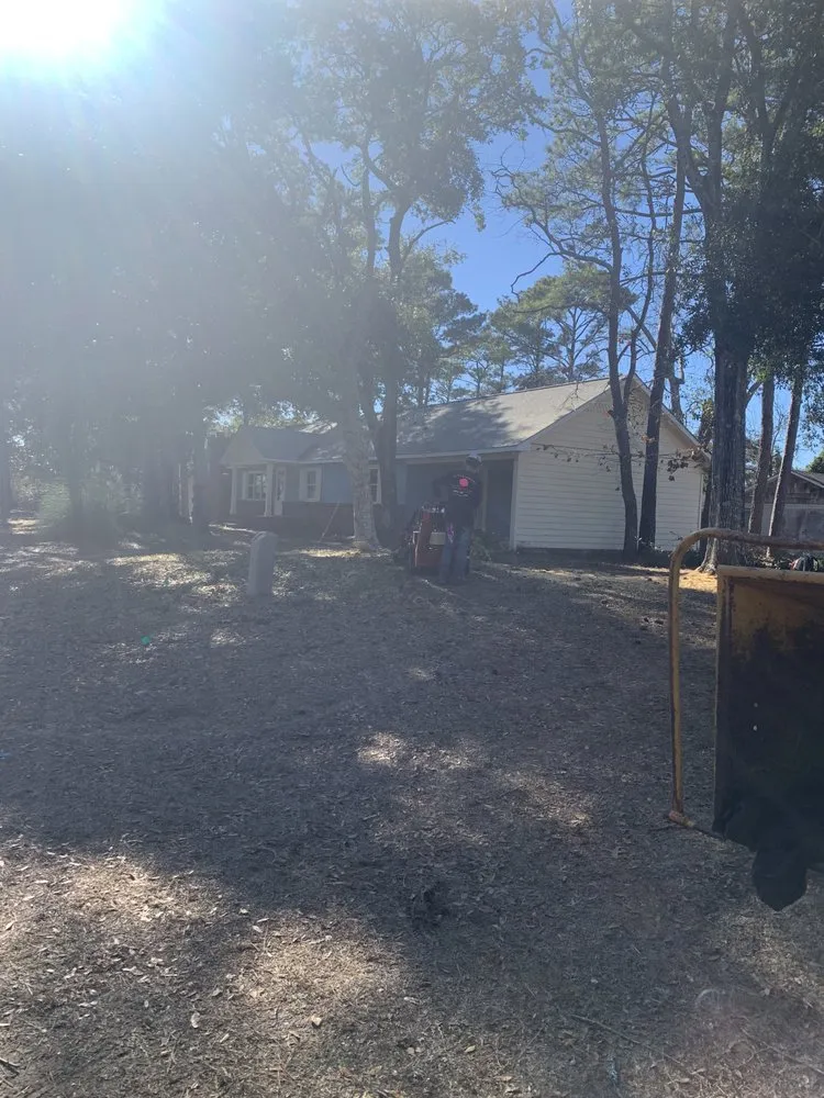 Affordable yard cleanup service in Supply, NC - A+ Tree & Landscaping