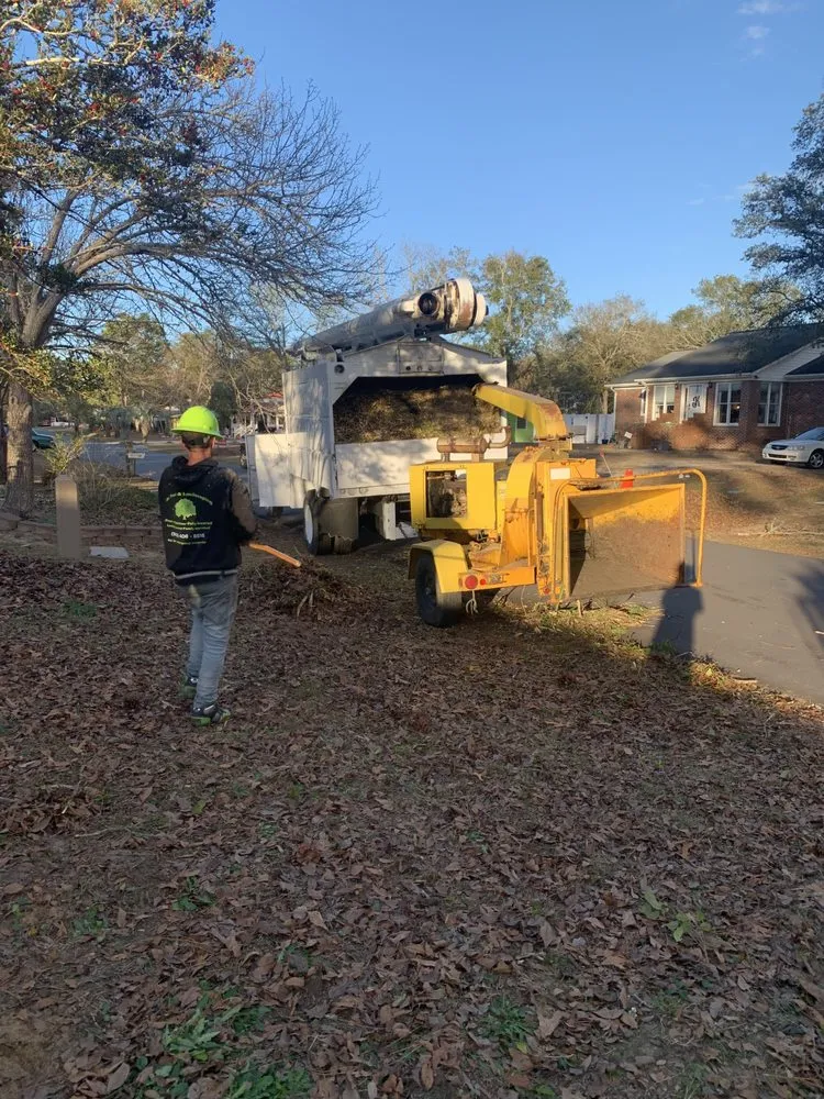Local yard maintenance near you in Supply, NC by A+ Tree & Landscaping