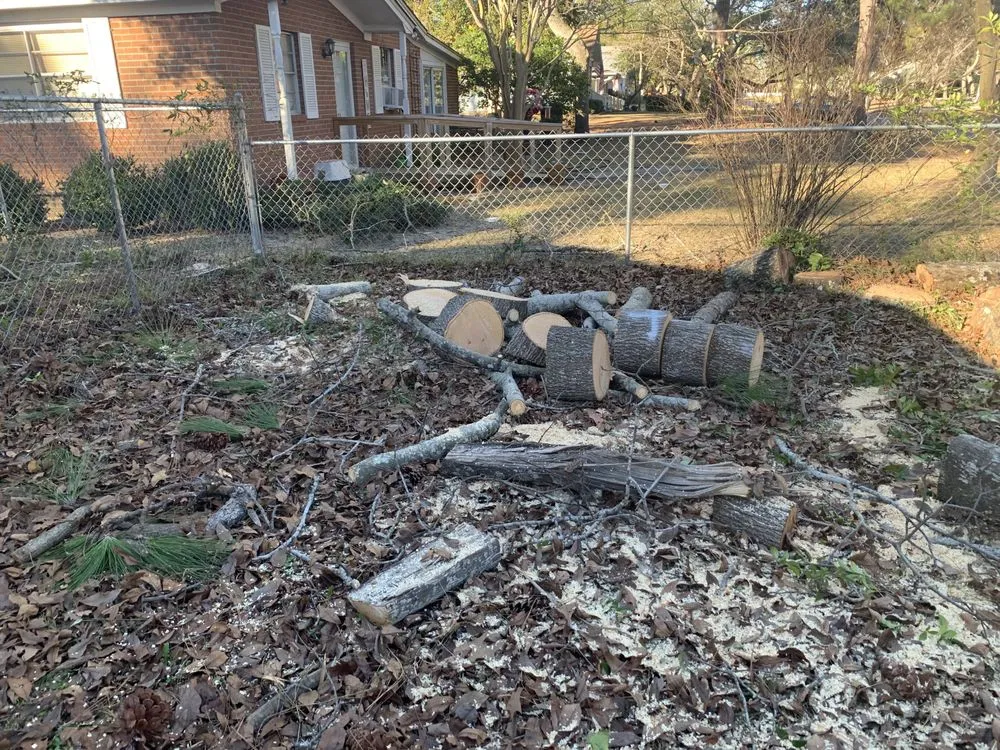 Top-rated landscaping services in Supply, NC by A+ Tree & Landscaping